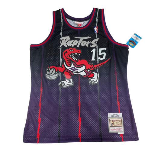 '00s Toronto Raptors #15 Jersey